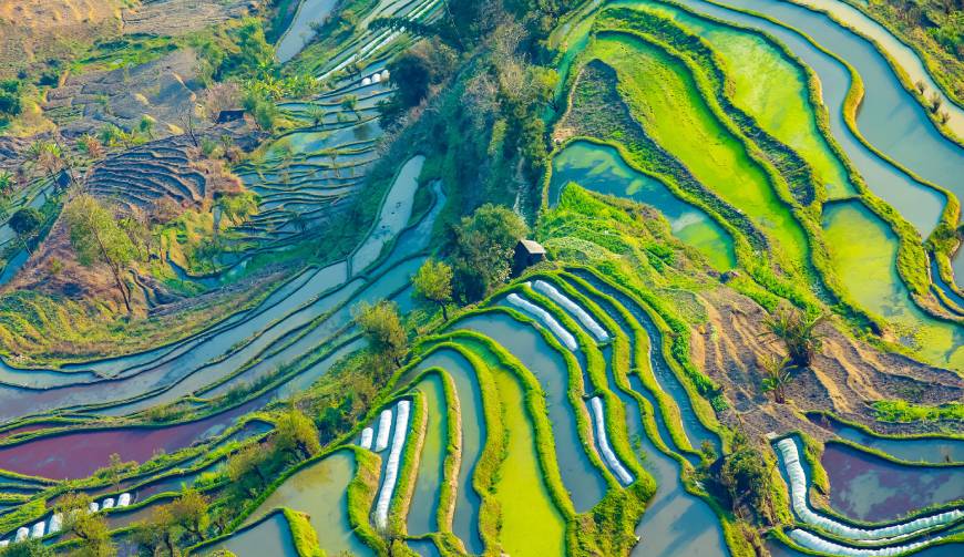 宝妈必备神器：金湖县产品视频拍摄轻松育儿好帮手