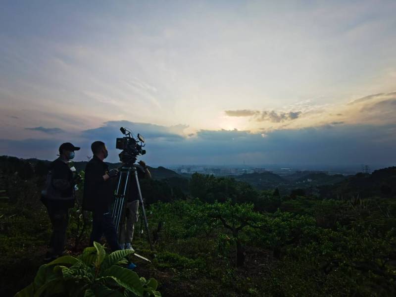 聚焦金湖县产品宣传视频拍摄公司，用专业实力铸就品牌传播传奇