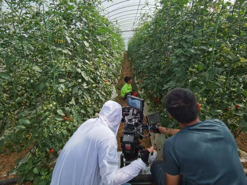 金湖县产品宣传视频拍摄公司进阶指南，助力品牌抢占传播高地